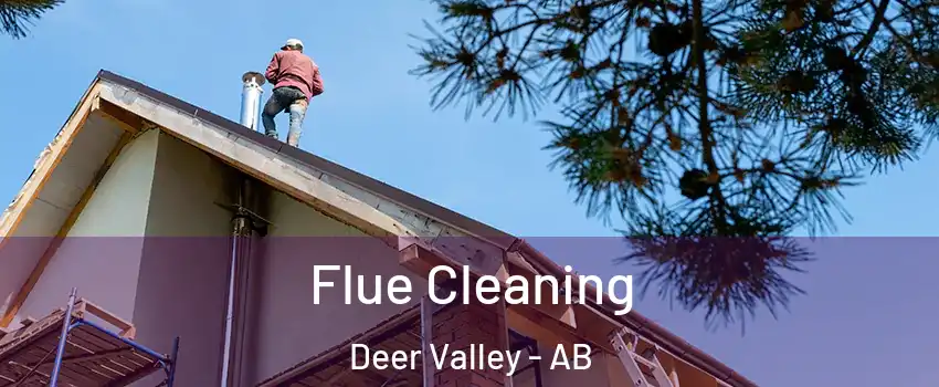  Flue Cleaning Deer Valley - AB