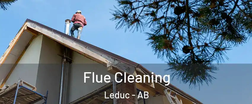  Flue Cleaning Leduc - AB