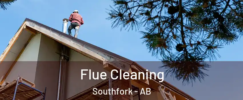  Flue Cleaning Southfork - AB