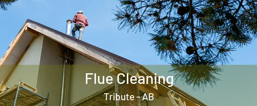  Flue Cleaning Tribute - AB