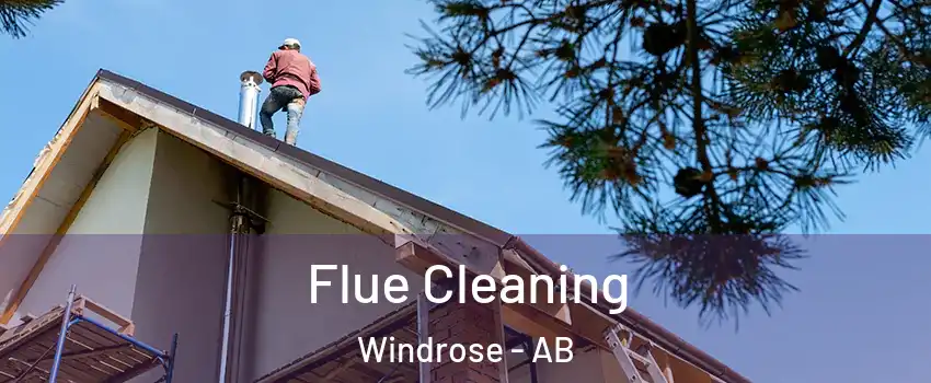  Flue Cleaning Windrose - AB