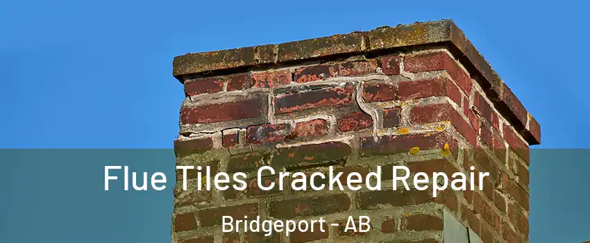  Flue Tiles Cracked Repair Bridgeport - AB