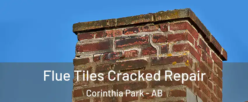  Flue Tiles Cracked Repair Corinthia Park - AB