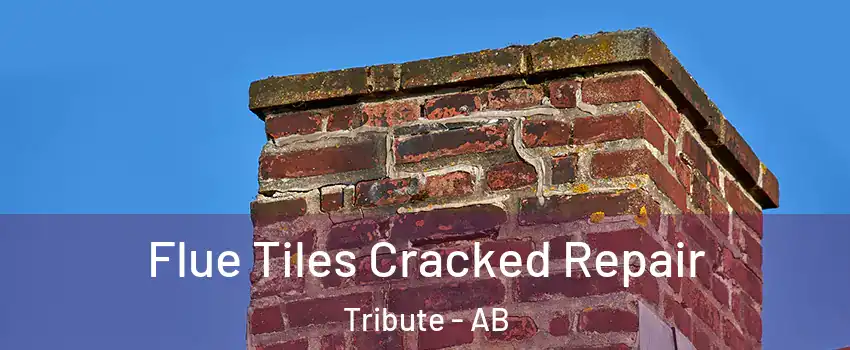  Flue Tiles Cracked Repair Tribute - AB