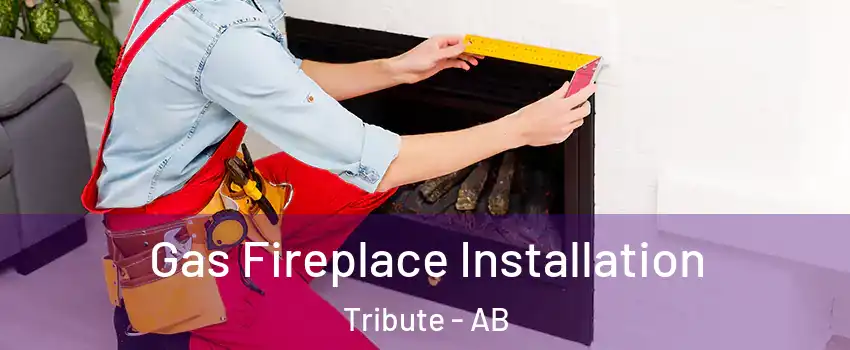  Gas Fireplace Installation Tribute - AB