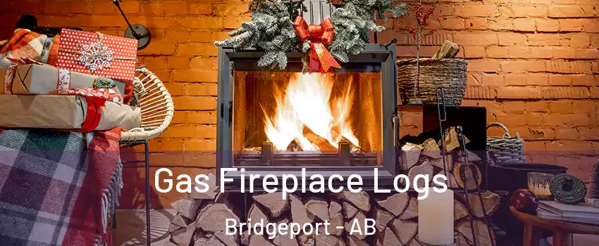  Gas Fireplace Logs Bridgeport - AB
