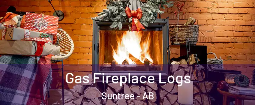  Gas Fireplace Logs Suntree - AB
