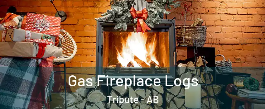  Gas Fireplace Logs Tribute - AB