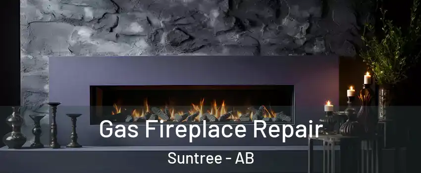  Gas Fireplace Repair Suntree - AB