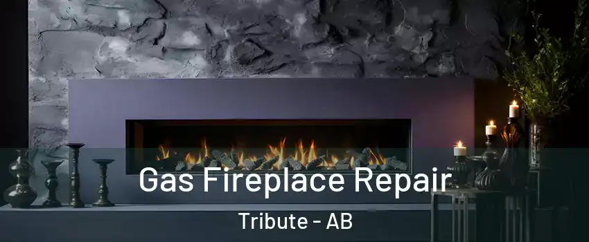  Gas Fireplace Repair Tribute - AB