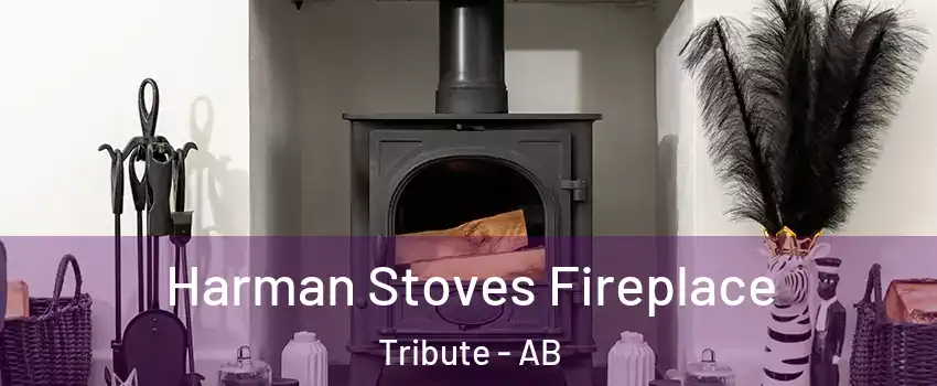  Harman Stoves Fireplace Tribute - AB