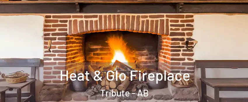  Heat & Glo Fireplace Tribute - AB