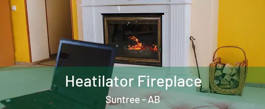  Heatilator Fireplace Suntree - AB