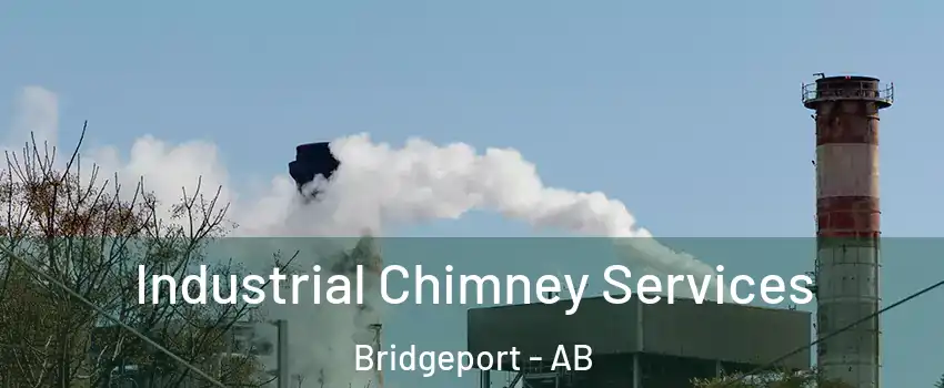  Industrial Chimney Services Bridgeport - AB