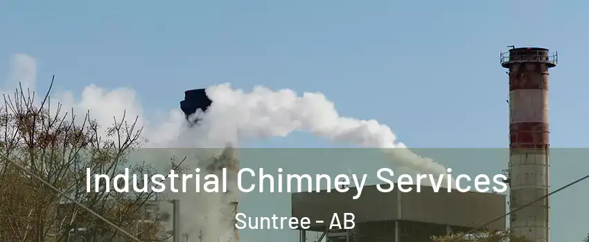  Industrial Chimney Services Suntree - AB