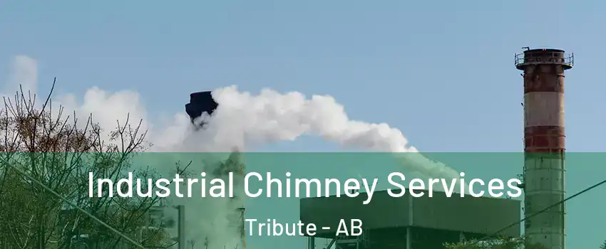  Industrial Chimney Services Tribute - AB