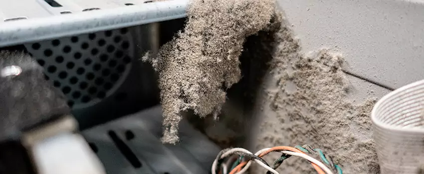 Clogged Dryer Vent Lint Cleaning in Leduc, Alberta