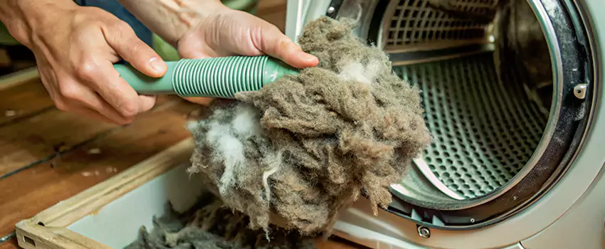 Best Dryer Lint Removal Company in Leduc, Alberta