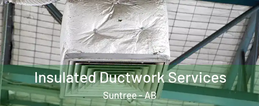  Insulated Ductwork Services Suntree - AB