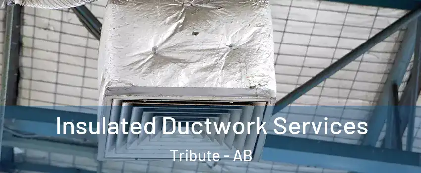  Insulated Ductwork Services Tribute - AB