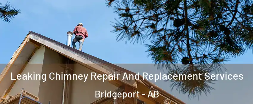  Leaking Chimney Repair And Replacement Services Bridgeport - AB