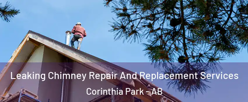  Leaking Chimney Repair And Replacement Services Corinthia Park - AB