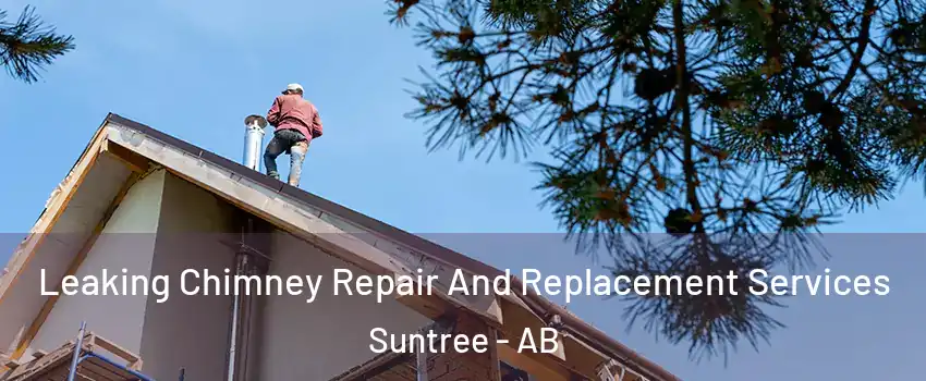  Leaking Chimney Repair And Replacement Services Suntree - AB