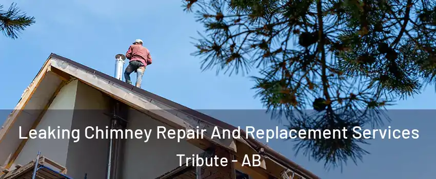  Leaking Chimney Repair And Replacement Services Tribute - AB