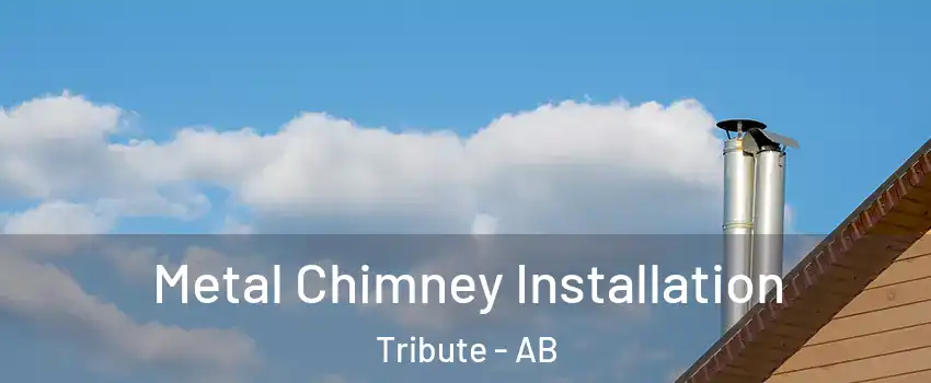  Metal Chimney Installation Tribute - AB