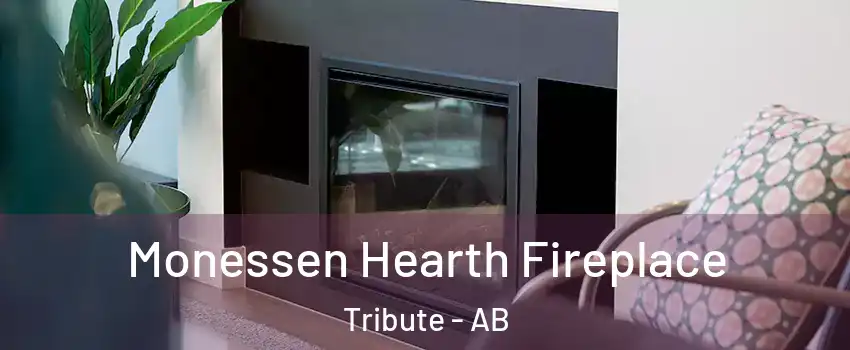  Monessen Hearth Fireplace Tribute - AB