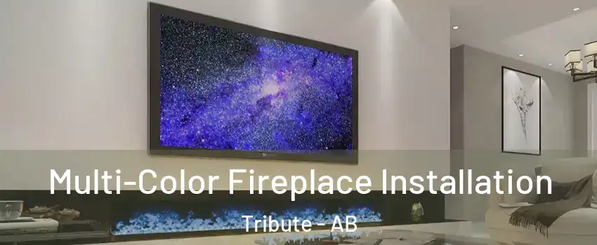  Multi-Color Fireplace Installation Tribute - AB