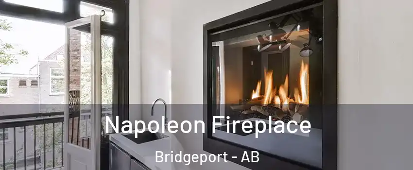  Napoleon Fireplace Bridgeport - AB