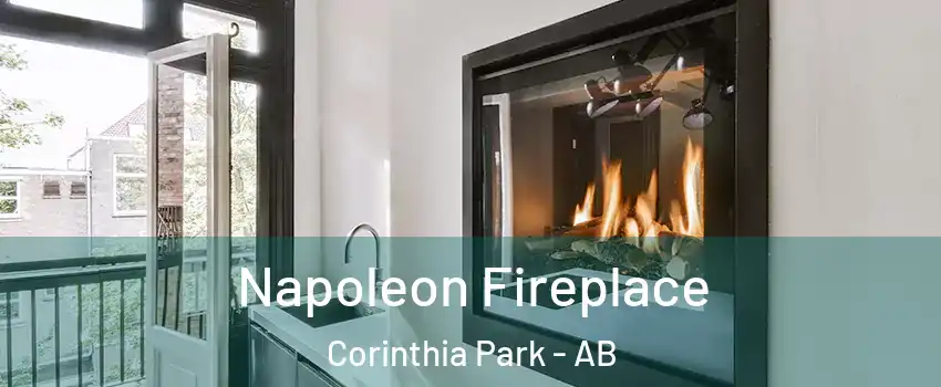  Napoleon Fireplace Corinthia Park - AB