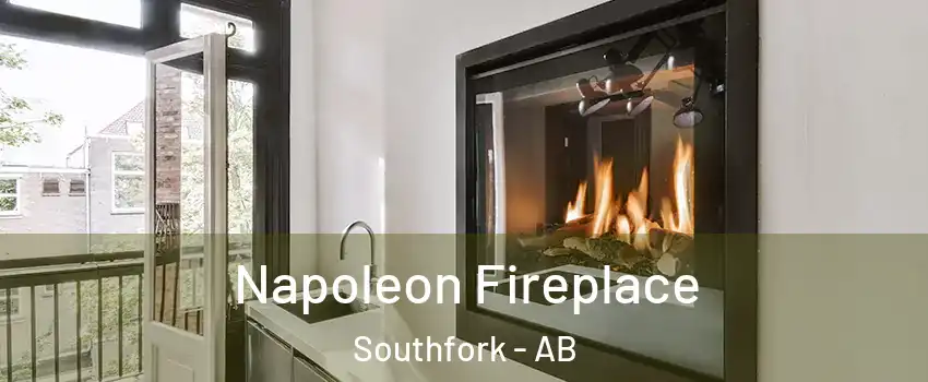  Napoleon Fireplace Southfork - AB