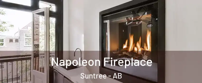  Napoleon Fireplace Suntree - AB
