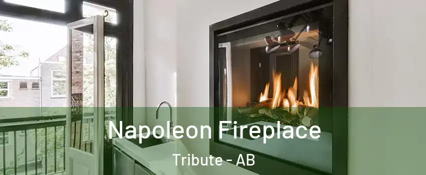  Napoleon Fireplace Tribute - AB
