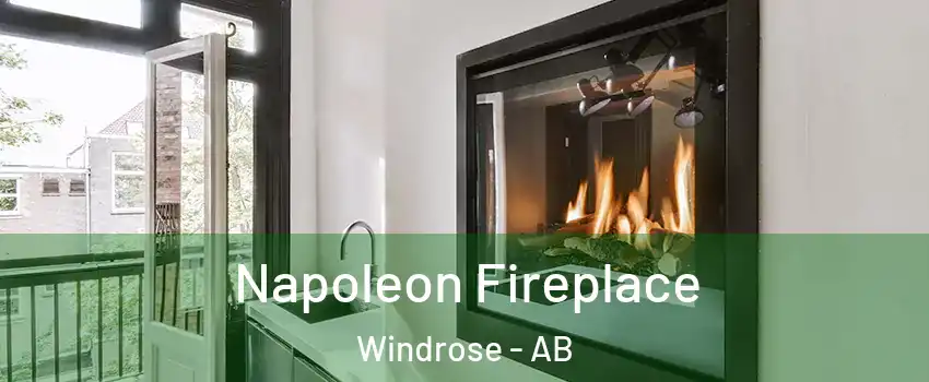  Napoleon Fireplace Windrose - AB