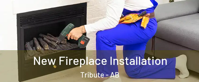  New Fireplace Installation Tribute - AB