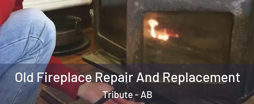  Old Fireplace Repair And Replacement Tribute - AB