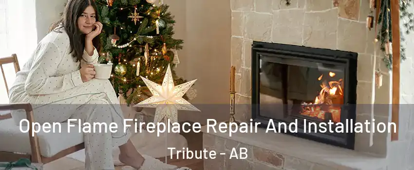  Open Flame Fireplace Repair And Installation Tribute - AB