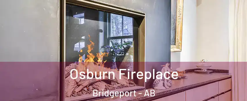  Osburn Fireplace Bridgeport - AB