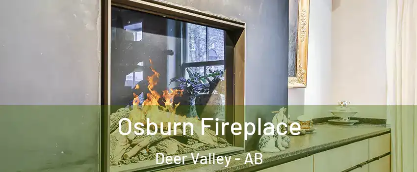  Osburn Fireplace Deer Valley - AB