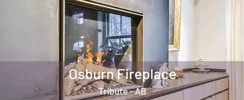  Osburn Fireplace Tribute - AB