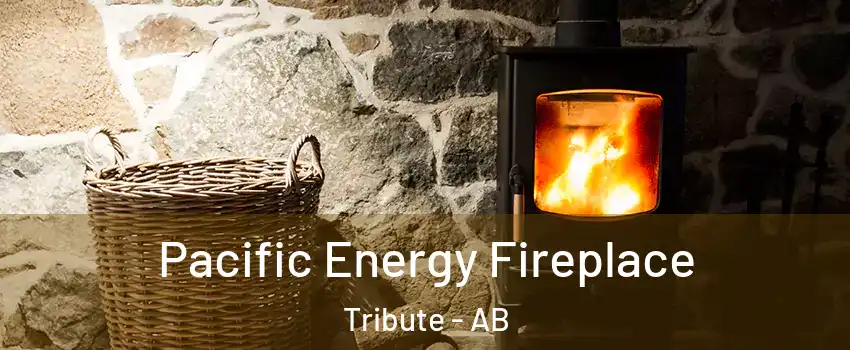  Pacific Energy Fireplace Tribute - AB