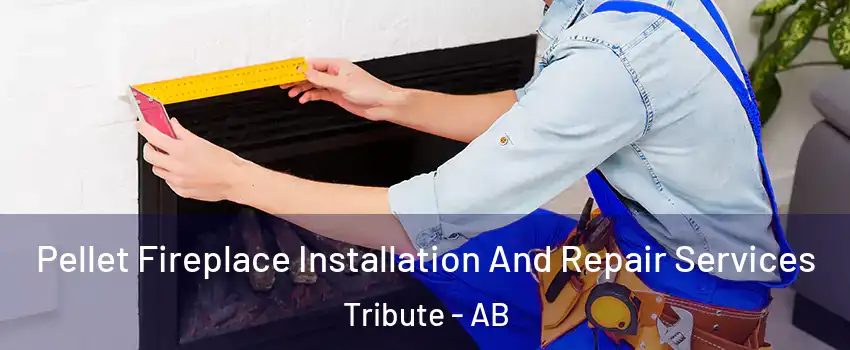  Pellet Fireplace Installation And Repair Services Tribute - AB