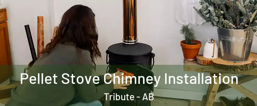  Pellet Stove Chimney Installation Tribute - AB