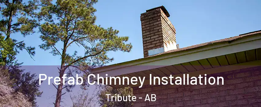  Prefab Chimney Installation Tribute - AB