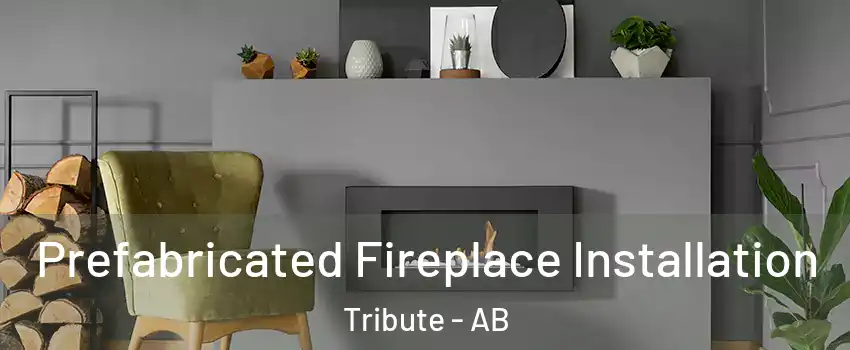  Prefabricated Fireplace Installation Tribute - AB