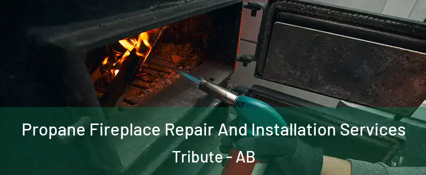  Propane Fireplace Repair And Installation Services Tribute - AB