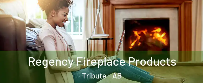  Regency Fireplace Products Tribute - AB